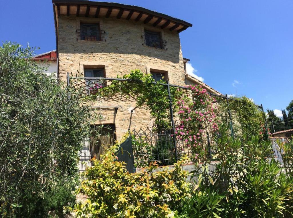 La Casina Delle Rondini Guest House Corsanico-Bargecchia Exterior foto