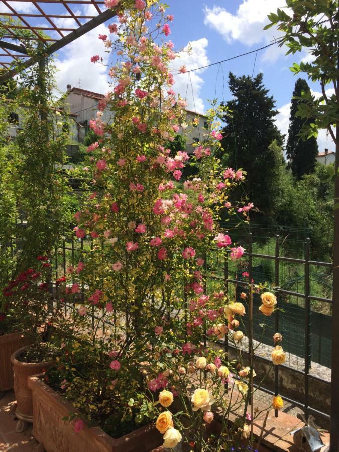 La Casina Delle Rondini Guest House Corsanico-Bargecchia Exterior foto
